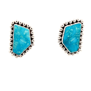 Artie Yellowhorse Genuine Fox Turquoise Sterling Silver Post Earrings